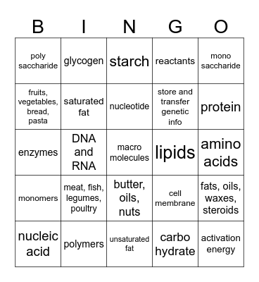 BIOLOGY MACROMOLECULES Bingo Card