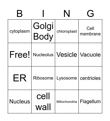 Cell organelles BINGO Card