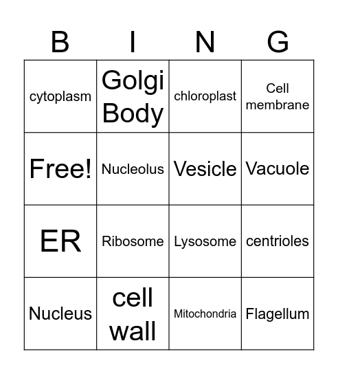Cell organelles BINGO Card