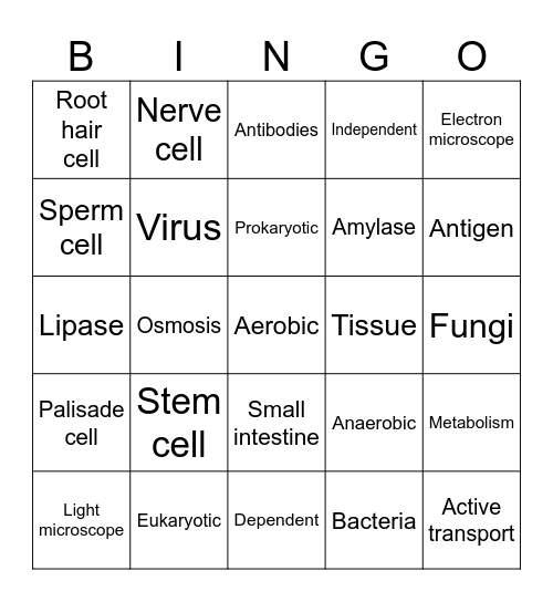 Paper 1 Bingo Card