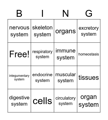 Body Systems Vocabulary Bingo Card