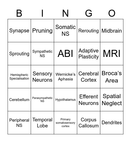 AOS 2 - Brain & NS Bingo Card