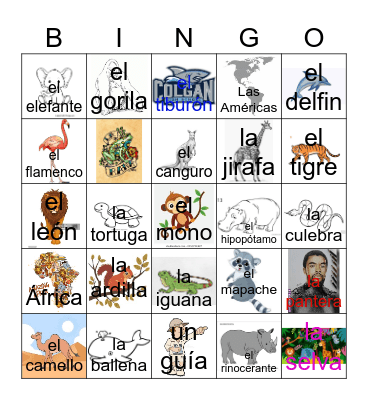 CCHS--SPANISH 2, UNIT 5 LA SELVA Bingo Card