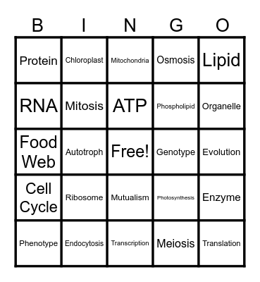 Biology EOC Review BINGO Card
