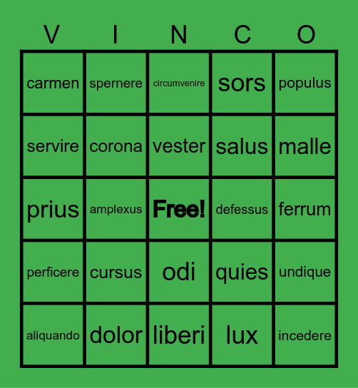 STAGE 29 Bingo Card