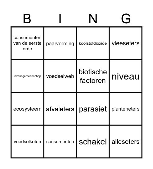 Bingo 6.1 t/m 6.3 Bingo Card