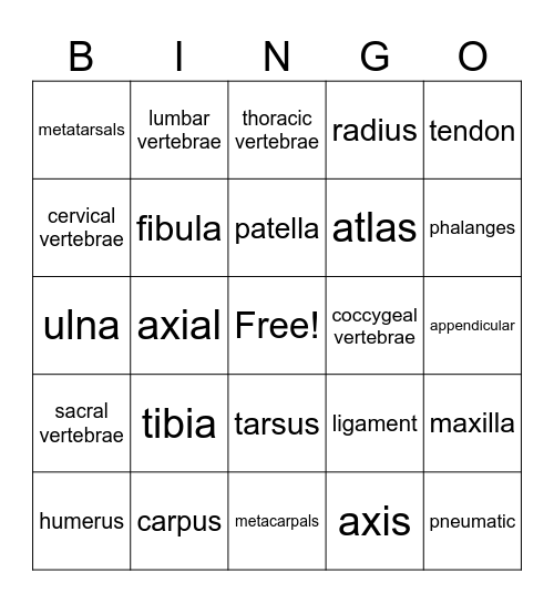 Skeleton Bingo Card
