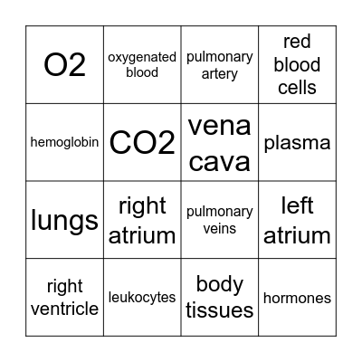 Cardiovascular Bingo Card