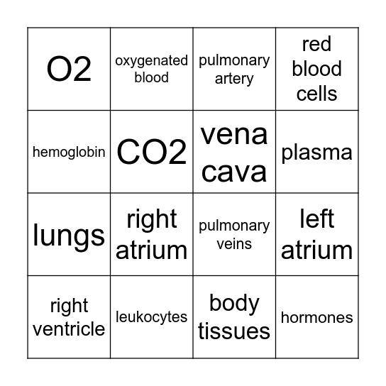 Cardiovascular Bingo Card