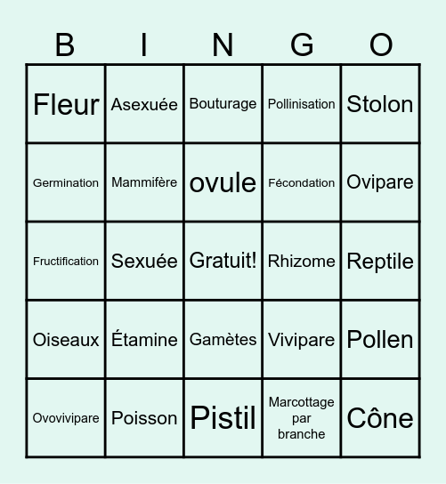 Reproduction Bingo Card