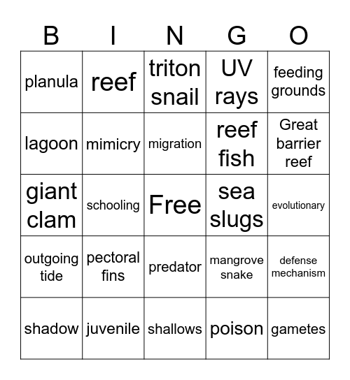 Reef Life Documentary Bingo Card