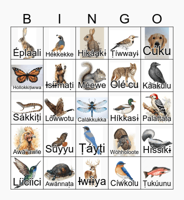 Miwok Bingo Card