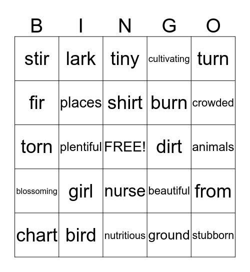 Unit 5 Week 5  Bingo Card