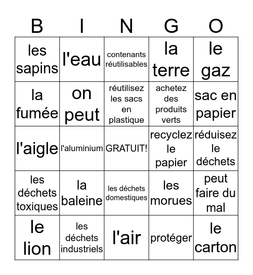 L'environnement BINGO Card