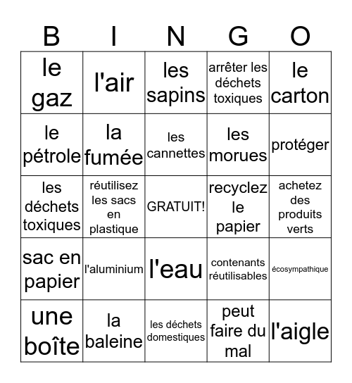 L'environnement BINGO Card