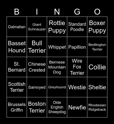 DOG BREEDS Bingo Card