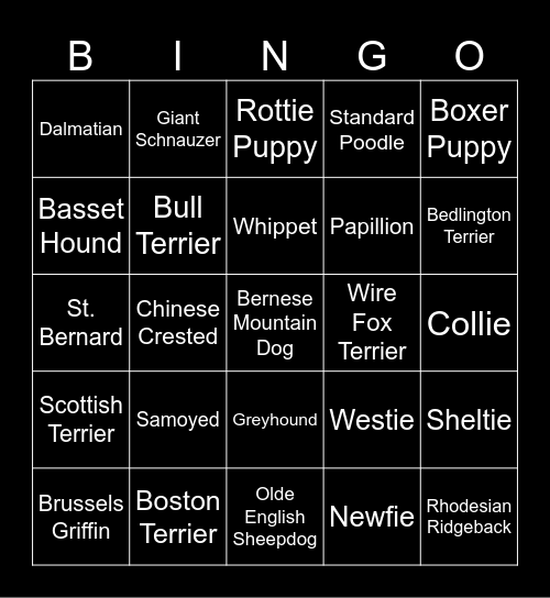 DOG BREEDS Bingo Card