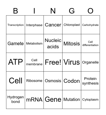 Biology Vocab Bingo (Set 1) Bingo Card