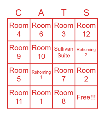 Cat Volunteer Bingo Card