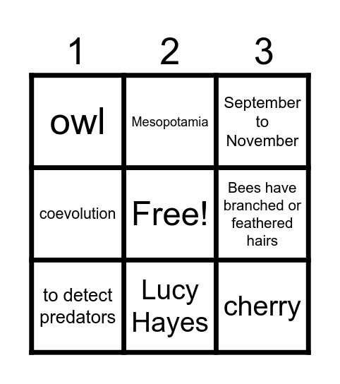 About Spring Bingo Card