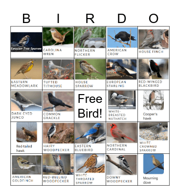 Backyard Bird Bingo Card