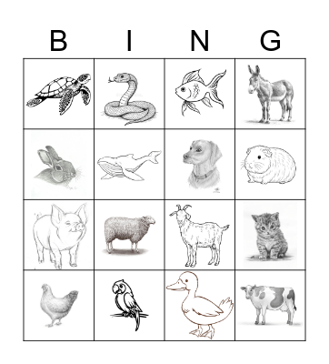 Animals Bingo Card