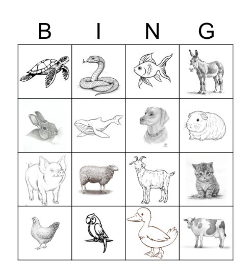 Animals Bingo Card