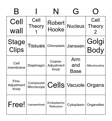 Chapter 8 Review Bingo Card
