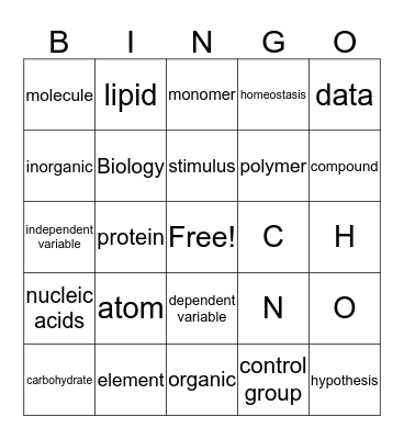 Scientific Method & Biomolecules Bingo Card