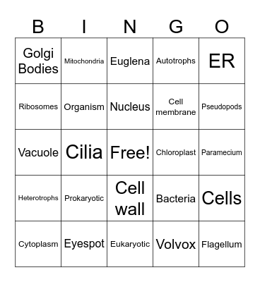 Cells Bingo Card