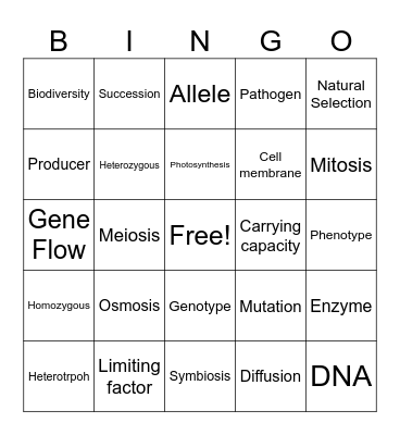 STAAR Vocabulary Review Bingo Card