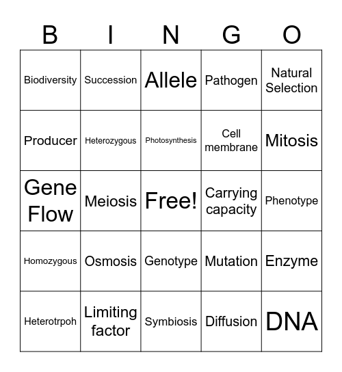 STAAR Vocabulary Review Bingo Card