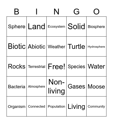 Ecology Bingo Card