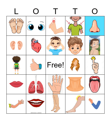 Les Parties du Corp Bingo Card