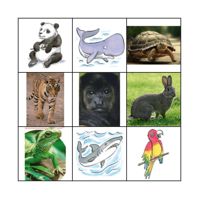 animals Bingo Card