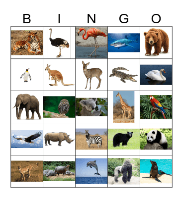Animals (pictures) Bingo Card