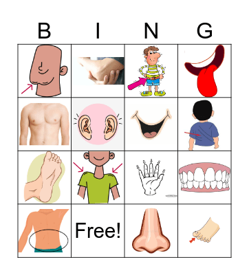 Body parts Bingo Card
