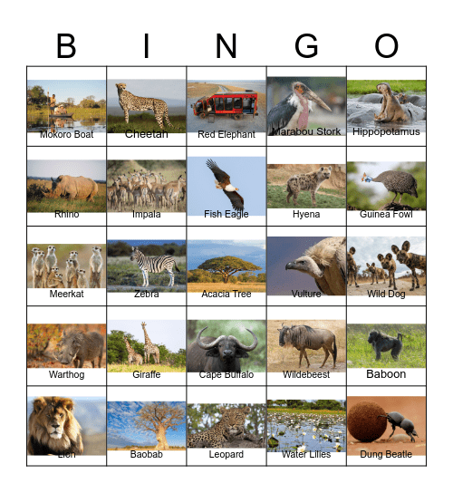 Safari Bingo Card