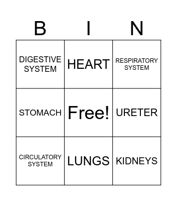 Body systems and organs Bingo Card