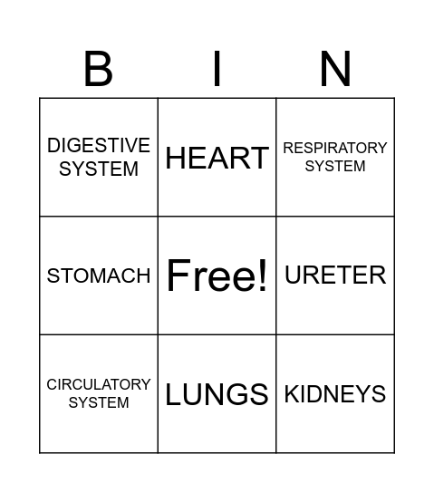 Body systems and organs Bingo Card