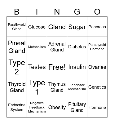 Endocrine System Bingo Card