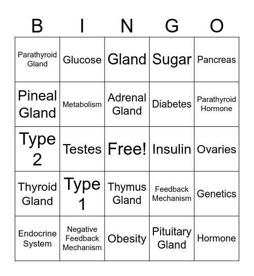 Endocrine System Bingo Card