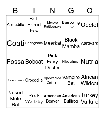 Desert Dome Bingo Card