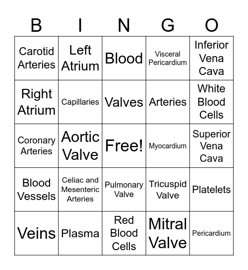 cardiovascular system Bingo Card