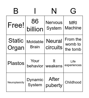 Neuroplasicity Bingo Card