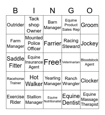 Equine Careers Bingo Card