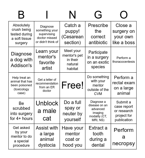 Vet School Bingo Card