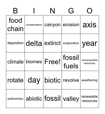 Science STAAR Vocabulary Bingo Card