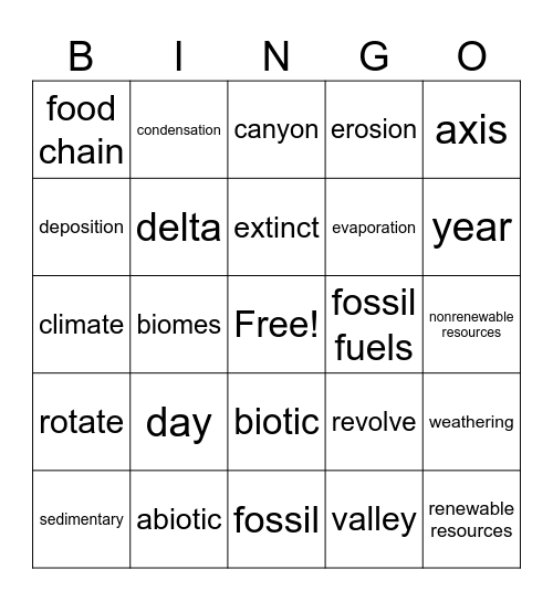 Science STAAR Vocabulary Bingo Card