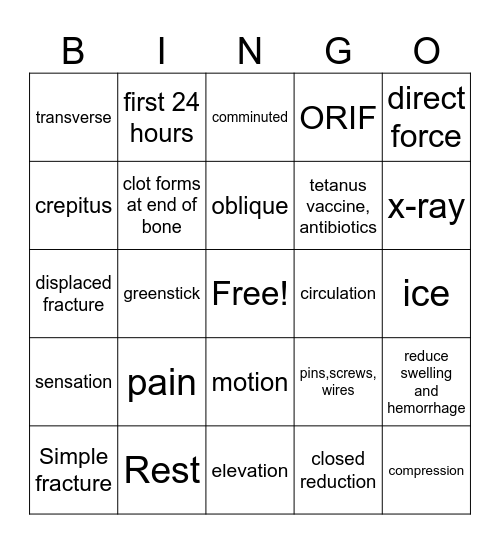 Muscle exam 2 Bingo Card